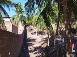 Terreno para Venda em Tibau do Sul - 4