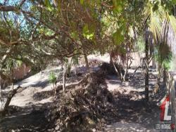Terreno para Venda em Tibau do Sul - 5