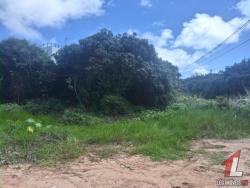 Terreno para Locação em Tibau do Sul - 5
