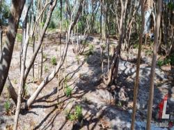 #T-147 - Terreno para Venda em Tibau do Sul - RN
