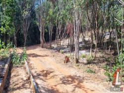 #T-147 - Terreno para Venda em Tibau do Sul - RN