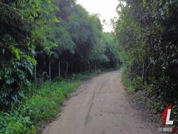 #T-237 - Terreno para Venda em Tibau do Sul - RN