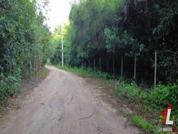 Terreno para Venda em Tibau do Sul - 4
