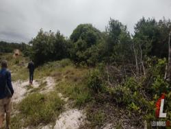 Terreno para Venda em Tibau do Sul - 4