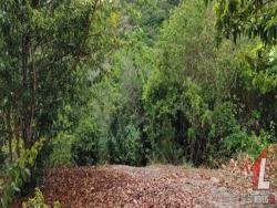 Terreno para Venda em Tibau do Sul - 4