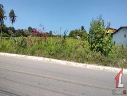 #T-341 - Terreno para Venda em Tibau do Sul - RN