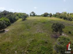 Terreno para Venda em Tibau do Sul - 4