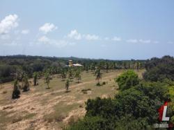 #T-342 - Terreno para Venda em Tibau do Sul - RN