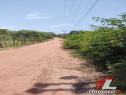 Terreno para Venda em Tibau do Sul - 4