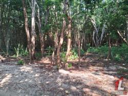 #T-346 - Terreno para Venda em Tibau do Sul - RN