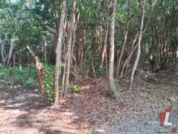 Terreno para Venda em Tibau do Sul - 4