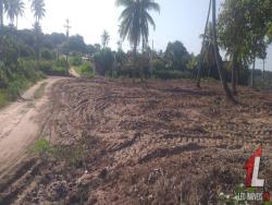Terreno para Venda em Vila Flor - 4