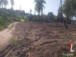 Terreno para Venda em Vila Flor - 5