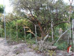 Terreno para Venda em Tibau do Sul - 4