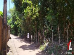 Terreno para Venda em Tibau do Sul - 4