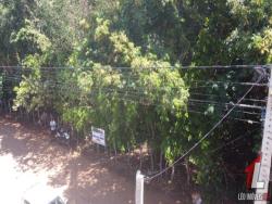 Terreno para Venda em Tibau do Sul - 5